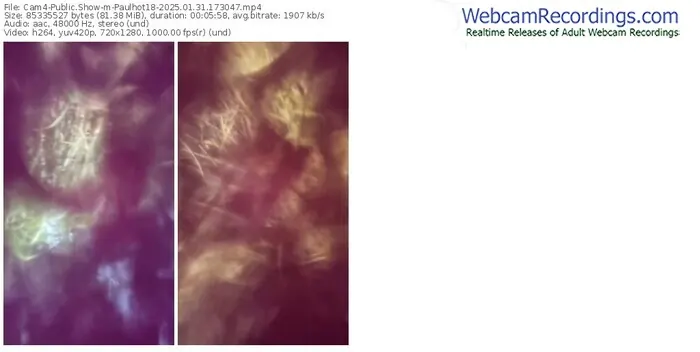 2025/01/31/cam4-paulhot18-17-30-47