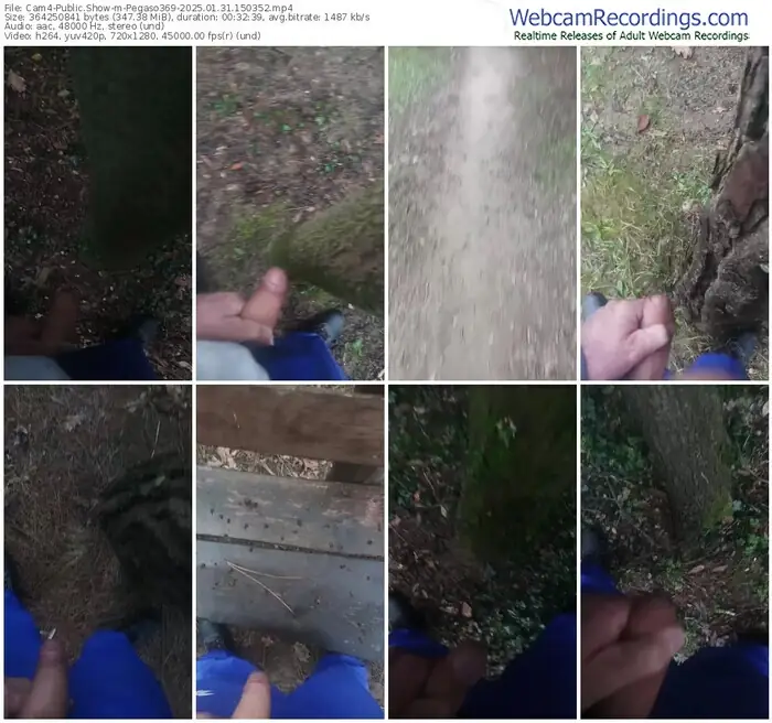 2025/01/31/cam4-pegaso369-15-03-52