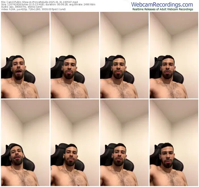 2025/01/31/cam4-princeroludo-19-35-47