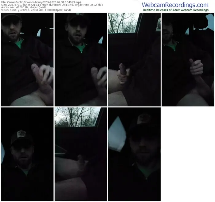 2025/01/31/cam4-horny6209-16-40-13