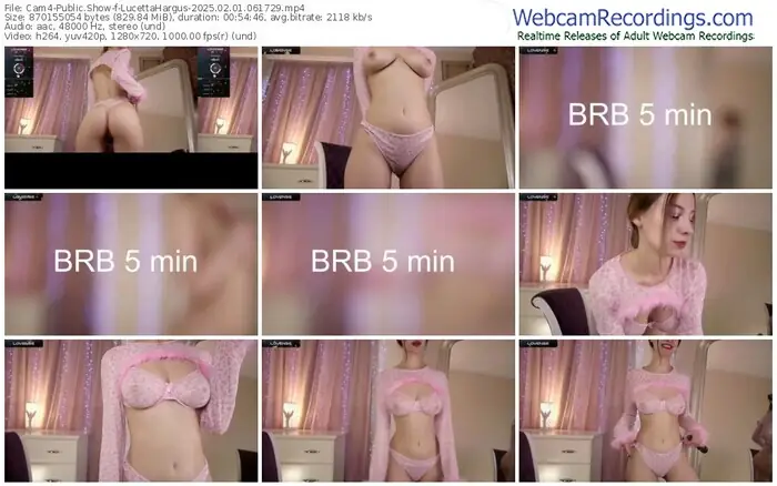 2025/02/01/cam4-lucettahargus-06-17-29