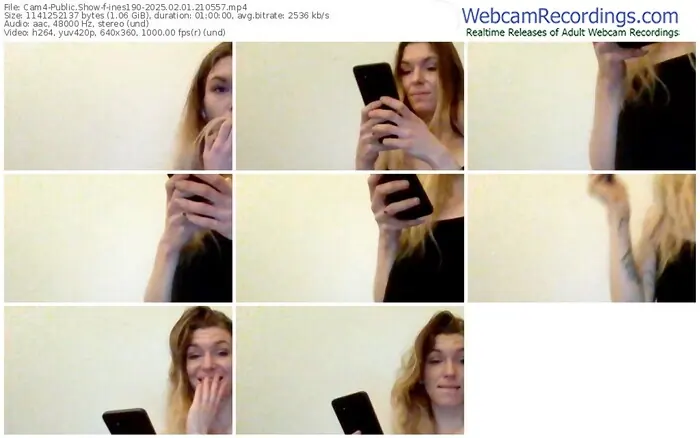2025/02/01/cam4-ines190-21-05-57
