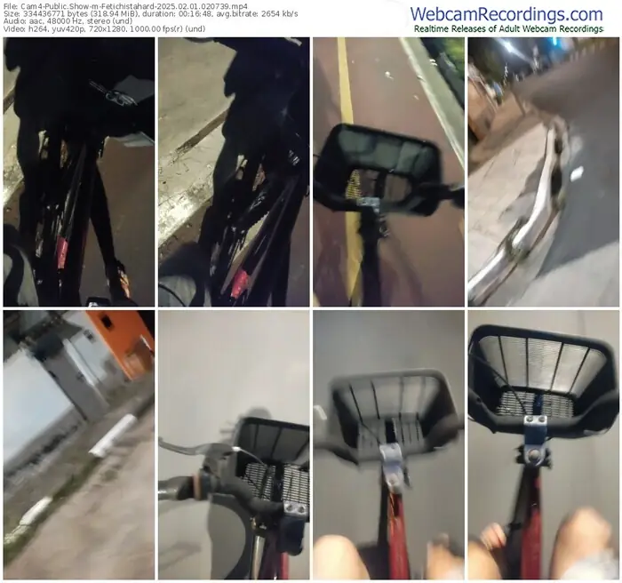 2025/02/01/cam4-fetichistahard-02-07-39