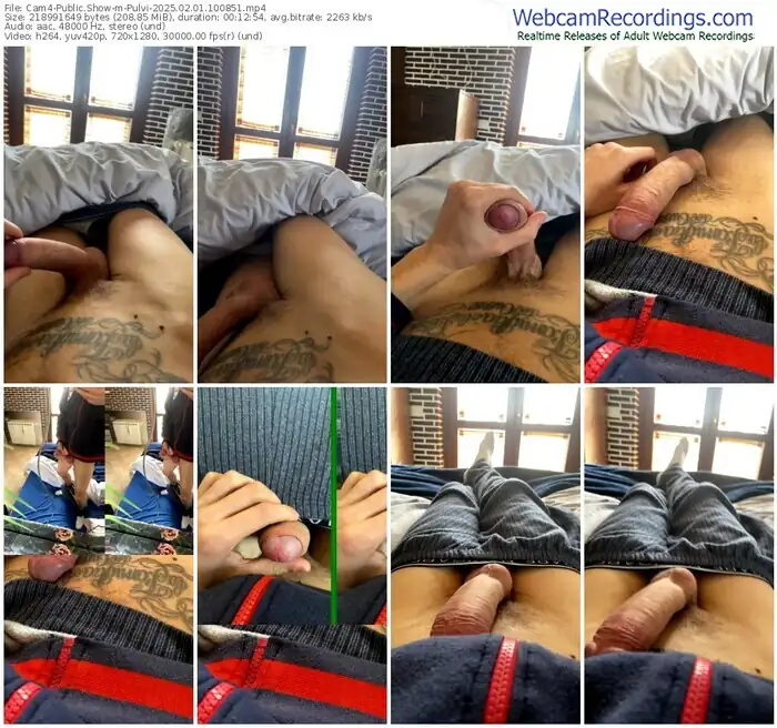 2025/02/01/cam4-pulvi-10-08-51