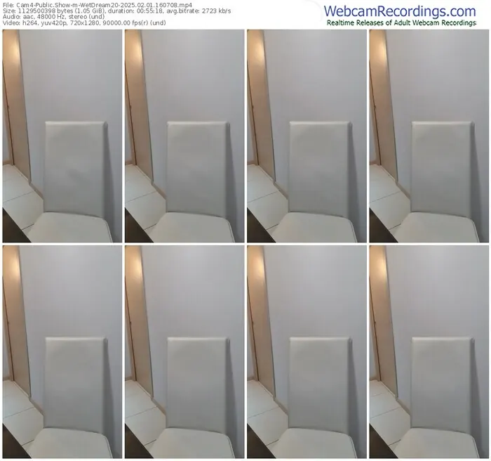 2025/02/01/cam4-wetdream20-16-07-08