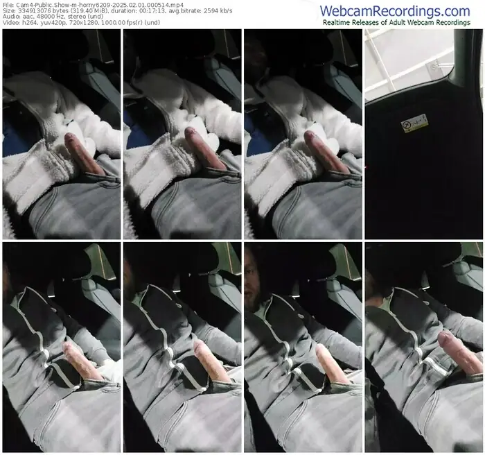 2025/02/01/cam4-horny6209-00-05-14