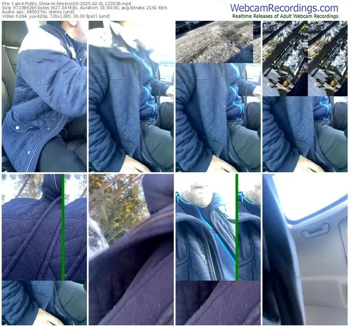 2025/02/01/cam4-likescock5-12-35-39