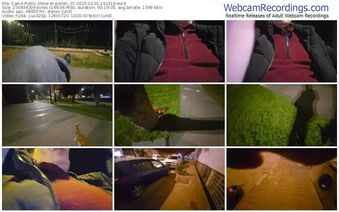 2025/02/01/cam4-pollen_07-19-23-16