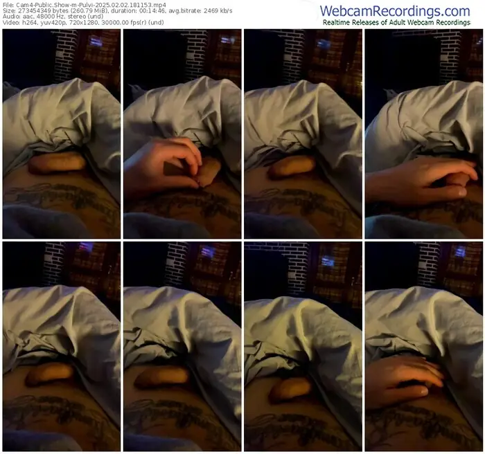 2025/02/02/cam4-pulvi-18-11-53