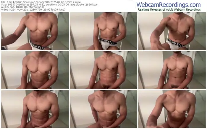 2025/02/03/cam4-connorw088-16-36-12