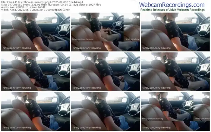 2025/02/03/cam4-sweetpuppy1-16-14-44