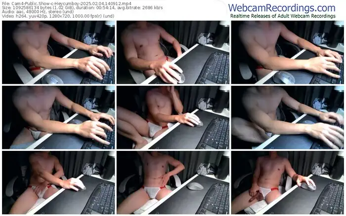 2025/02/04/cam4-heycumboy-14-09-12