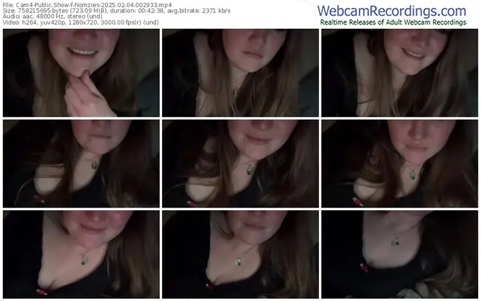 2025/02/04/cam4-nomzies-00-29-33