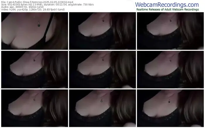 2025/02/05/cam4-nomzies-22-30-32