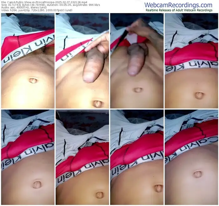 2025/02/07/cam4-princeprincipe-03-21-28