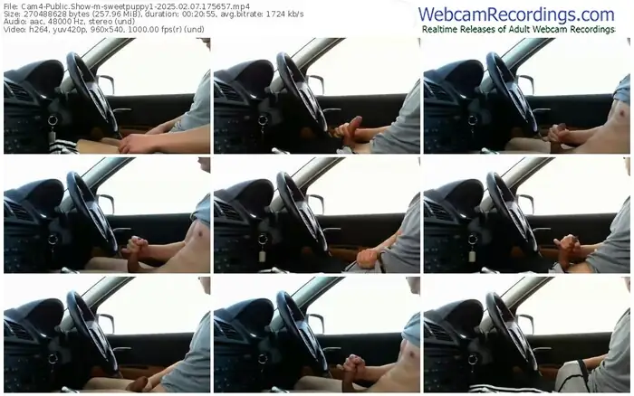 2025/02/07/cam4-sweetpuppy1-17-56-57