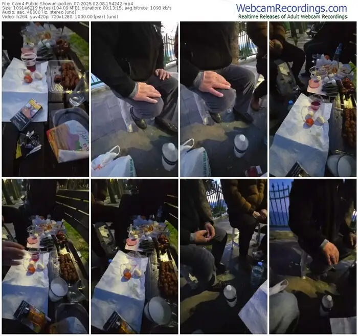 2025/02/08/cam4-pollen_07-15-42-42