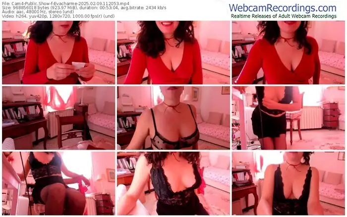 2025/02/09/cam4-evacharme-11-20-53