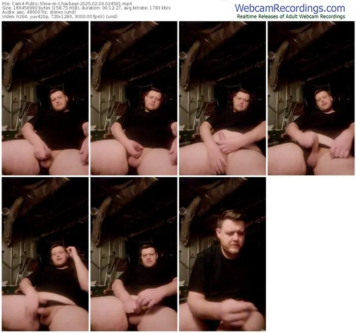 2025/02/09/cam4-chavbear-02-45-01