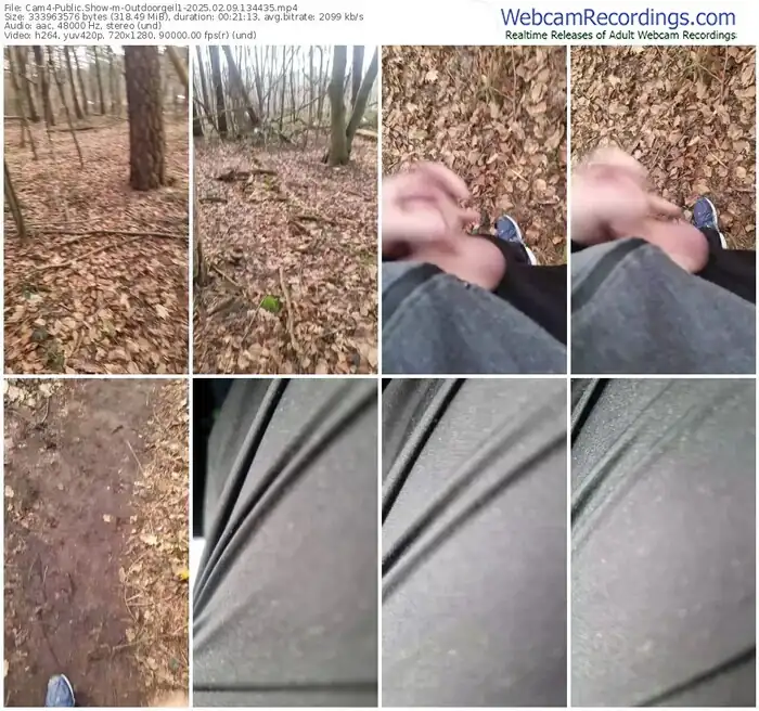 2025/02/09/cam4-outdoorgeil1-13-44-35