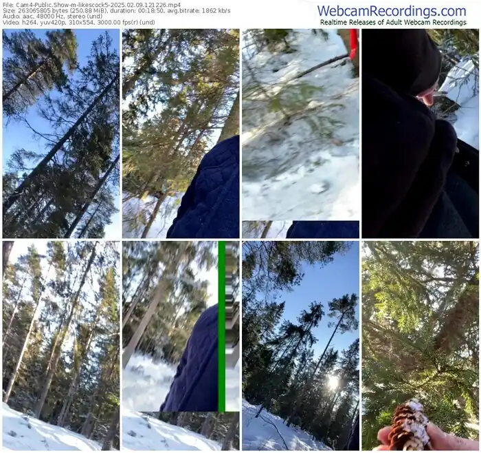 2025/02/09/cam4-likescock5-12-12-26