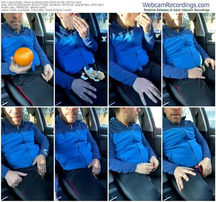 2025/02/09/cam4-likescock5-13-37-10