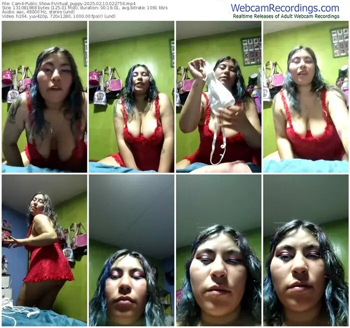 2025/02/10/cam4-virtual_puppy-02-27-56