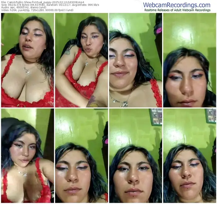 2025/02/10/cam4-virtual_puppy-04-32-08