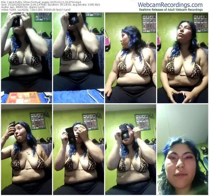 2025/02/11/cam4-virtual_puppy-01-47-54