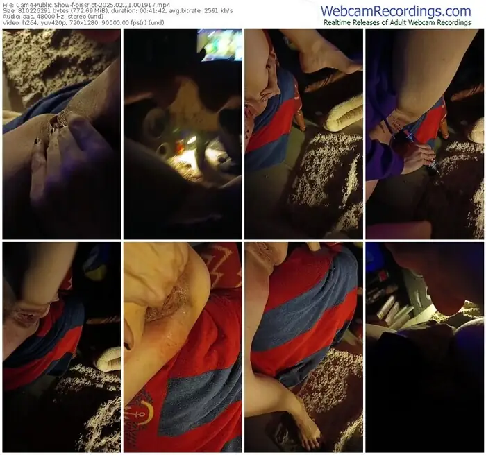 2025/02/11/cam4-pissriot-00-19-17