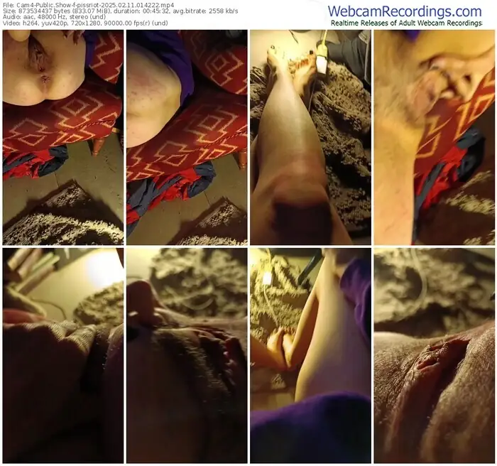 2025/02/11/cam4-pissriot-01-42-22