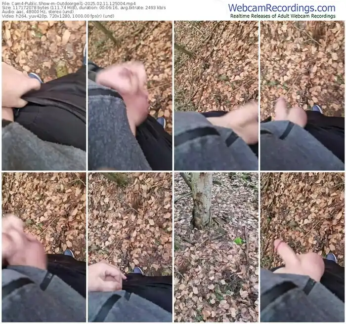 2025/02/11/cam4-outdoorgeil1-12-50-04