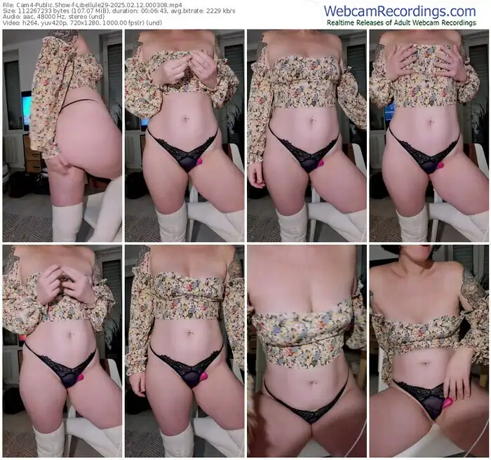 2025/02/12/cam4-libellule29-00-03-08