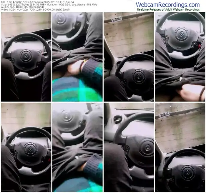 2025/02/13/cam4-epamela-11-15-19