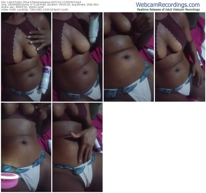 2025/02/13/cam4-panteranegraa-04-55-02