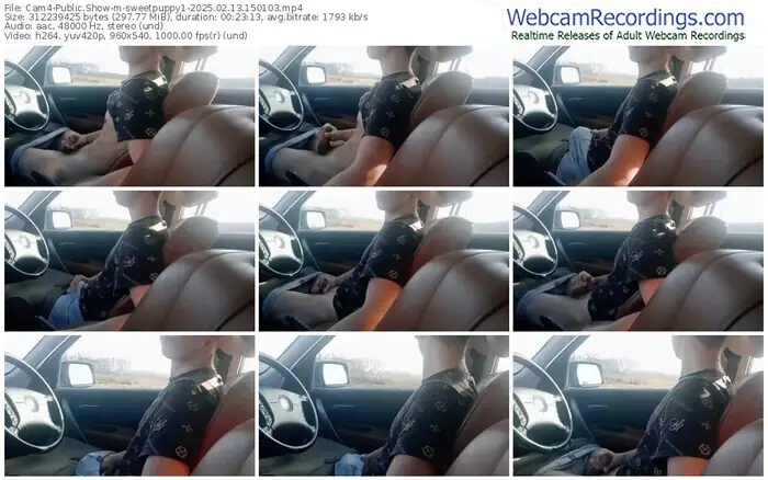 2025/02/13/cam4-sweetpuppy1-15-01-03
