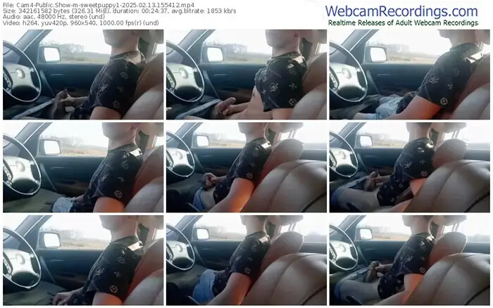 2025/02/13/cam4-sweetpuppy1-15-54-12