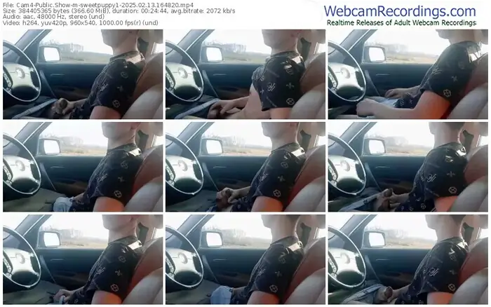 2025/02/13/cam4-sweetpuppy1-16-48-20