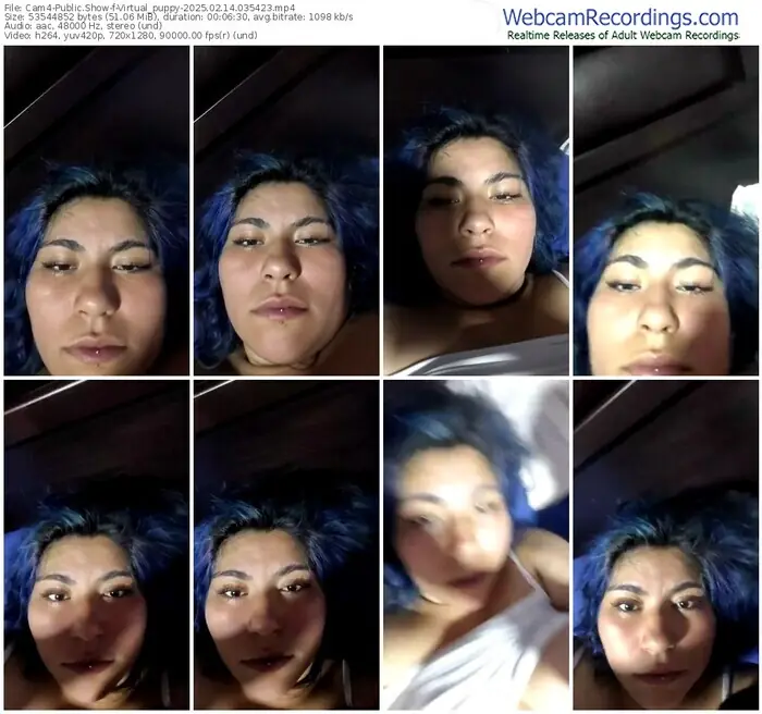 2025/02/14/cam4-virtual_puppy-03-54-23