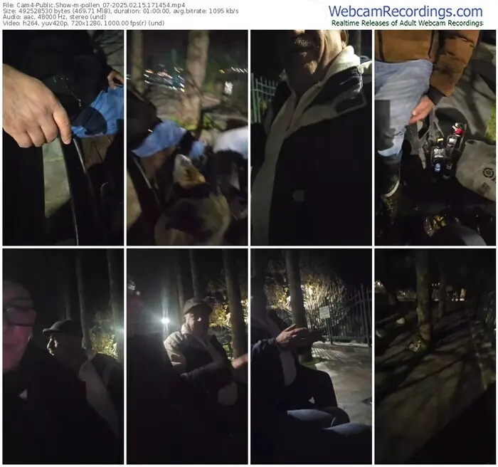 2025/02/15/cam4-pollen_07-17-14-54