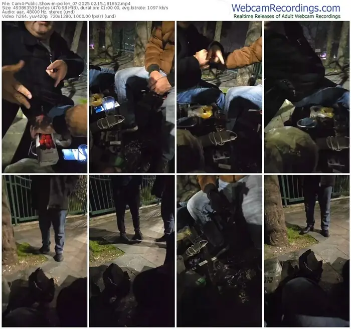 2025/02/15/cam4-pollen_07-18-16-52