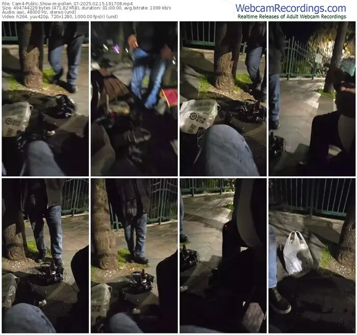 2025/02/15/cam4-pollen_07-19-17-08