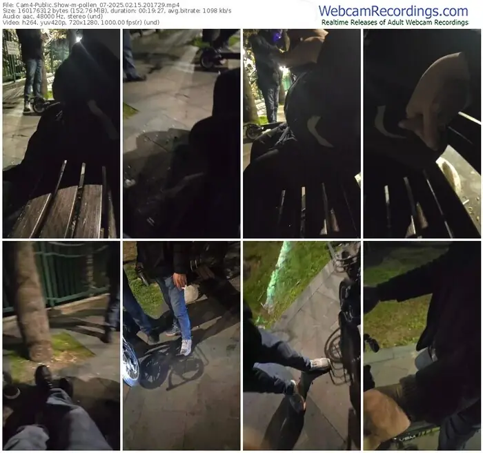 2025/02/15/cam4-pollen_07-20-17-29