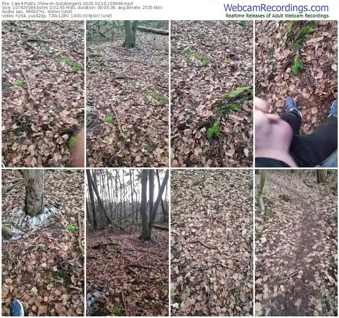 2025/02/16/cam4-outdoorgeil1-15-59-48