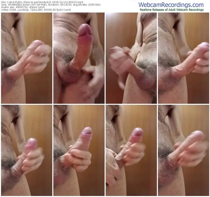 2025/02/16/cam4-perfectdick21-18-02-10