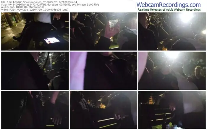 2025/02/16/cam4-pollen_07-21-00-29