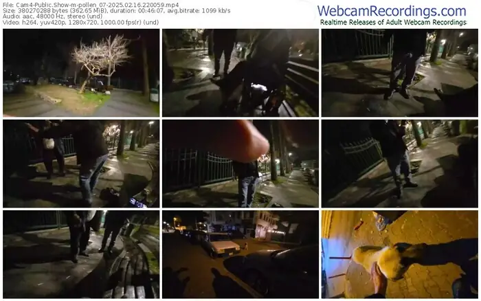 2025/02/16/cam4-pollen_07-22-00-59