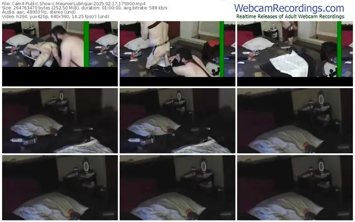 2025/02/17/cam4-meunierlubrique-17-59-00