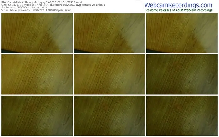 2025/02/17/cam4-robyyyy69-17-43-16