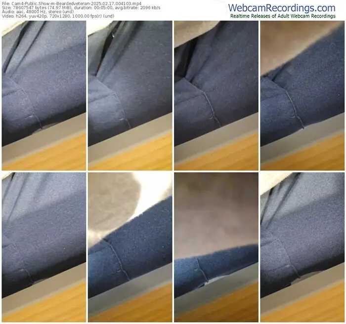 2025/02/17/cam4-beardedveteran-00-41-03